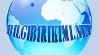 Bilgi Birikimi